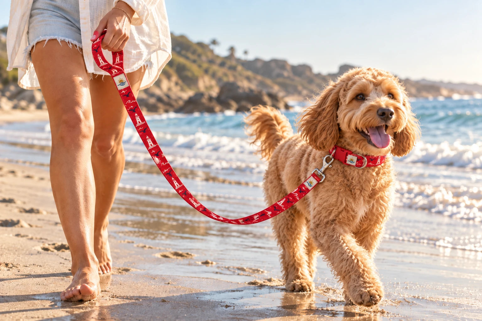Daymauro Beacon Red Leash shown in use with a dog; AI-generated design concept