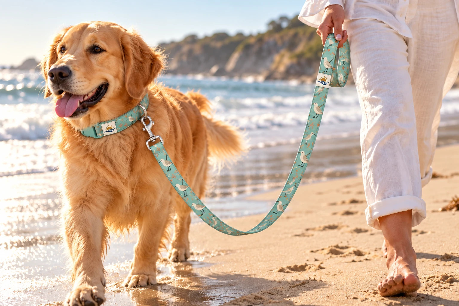 Daymauro Shorebird Leash shown in use with a dog; AI-generated design concept