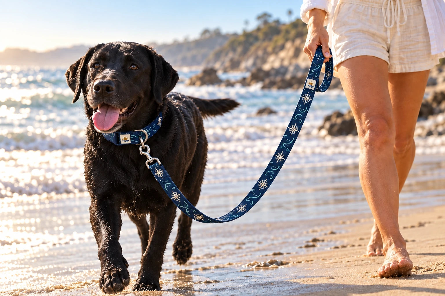 Daymauro True North Leash shown in use with a dog; AI-generated design concept